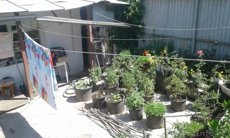 Продам 3-комнатный дом, 40 м², 5 сот. - Изображение #3, Объявление #1628687