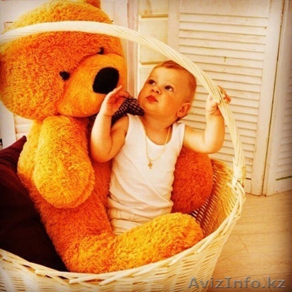 Большие мишки - Изображение #2, Объявление #1629339