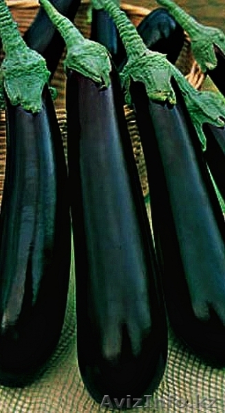 Семена овощных и бахчевых культур - Изображение #5, Объявление #1628851