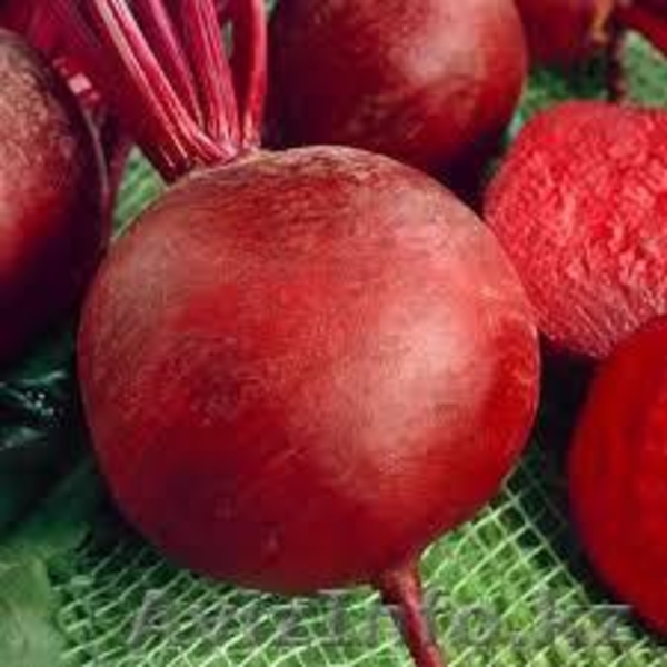 Семена овощных и бахчевых культур - Изображение #8, Объявление #1628851