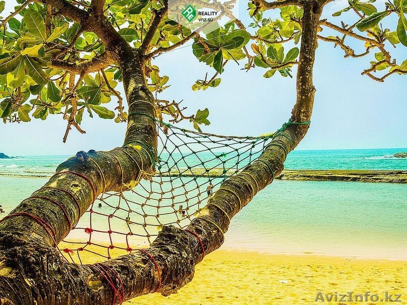 Второе Гражданство Сент-Китс и Невис - Изображение #3, Объявление #1631814