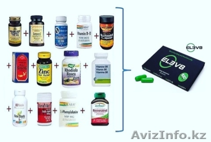 ELEV8 - Изображение #4, Объявление #1631948