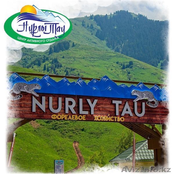 Форелевое хозяйство Нурлы Тау - Изображение #1, Объявление #1637615