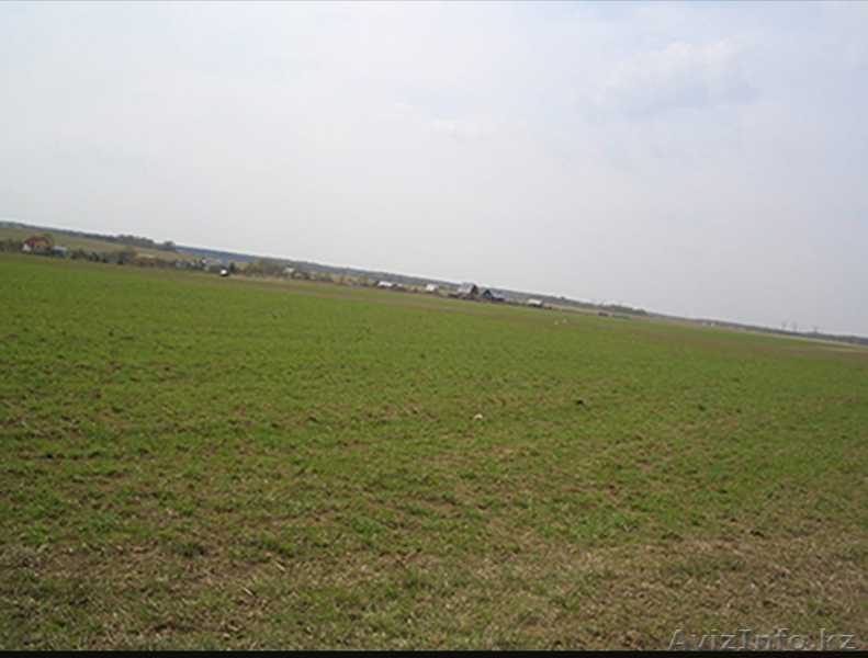 Продаются два земельных участка 126 га - Изображение #3, Объявление #1638008