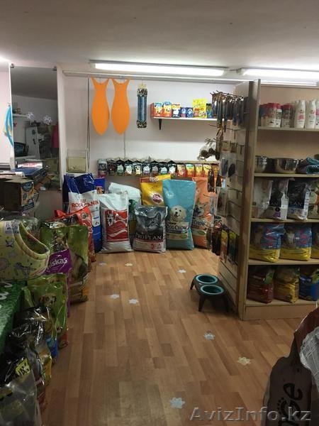 Зоомагазин «Лапы и Хвост» - Изображение #3, Объявление #1643392