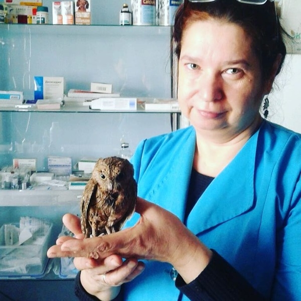 Ветеринарная клиника Хвостики (Стерилизация) - Изображение #3, Объявление #1646400