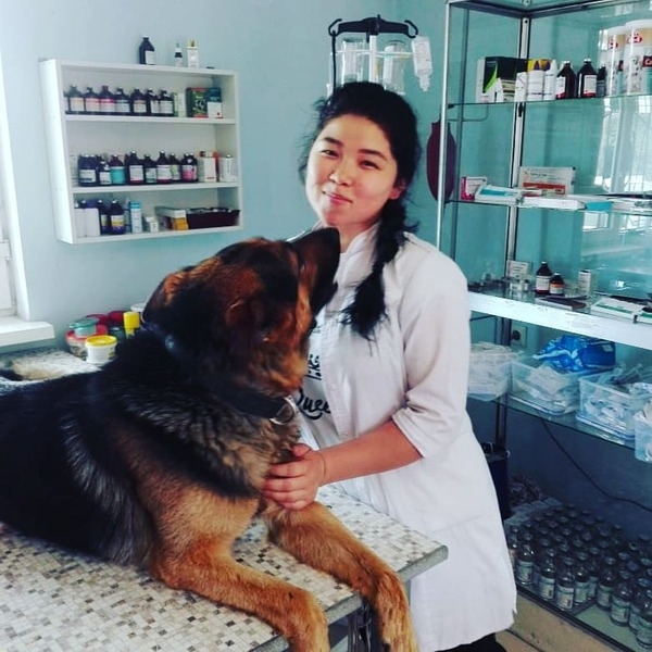 Ветеринарная клиника Хвостики (Стерилизация) - Изображение #4, Объявление #1646400