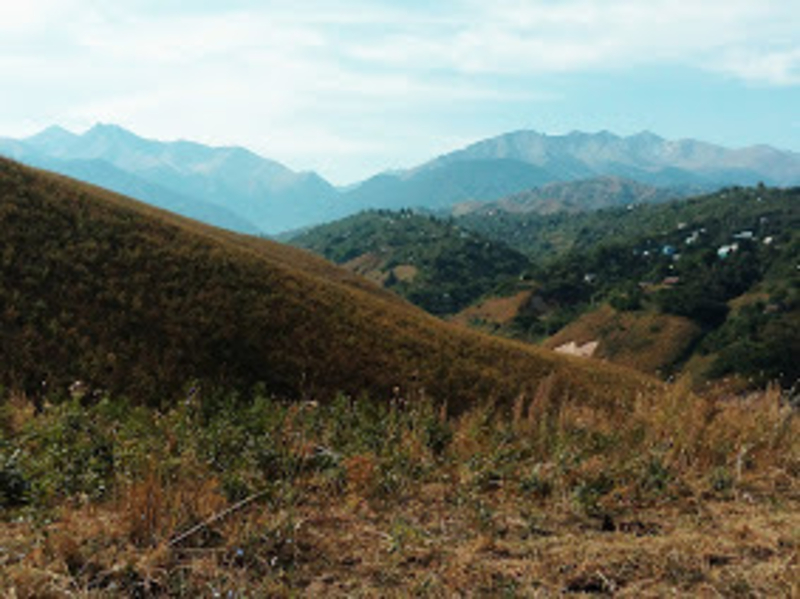 Продаю Дачу с большим участком - Изображение #4, Объявление #1645732