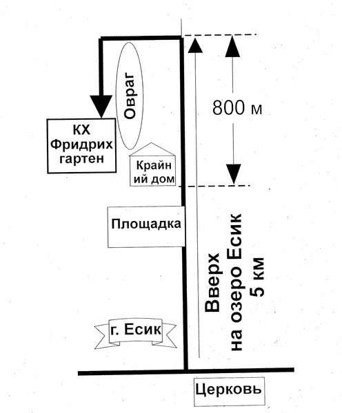 Колоновидные яблони Алматы, оптом 700, розница от 1000 тг. - Изображение #10, Объявление #1611675