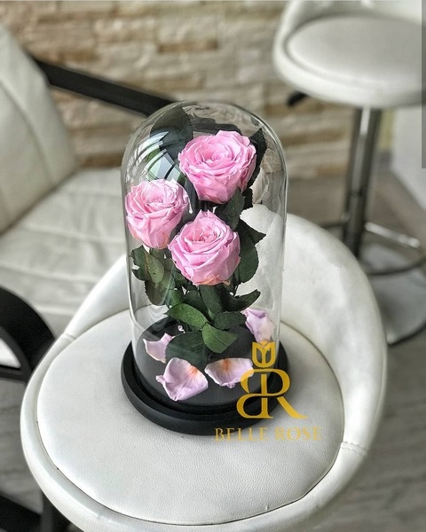 Живая Роза в стеклянной колбе - Бесплатная Доставка - Изображение #5, Объявление #1649066