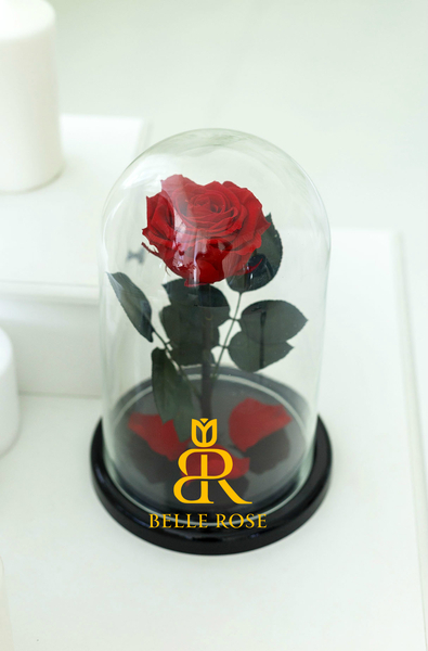 Живая Роза в стеклянной колбе - Бесплатная Доставка - Изображение #2, Объявление #1649066