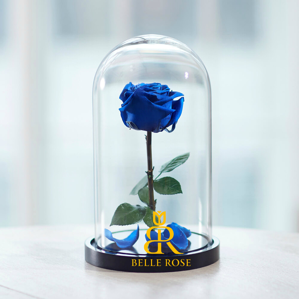 Живая Роза в стеклянной колбе - Бесплатная Доставка - Изображение #6, Объявление #1649066