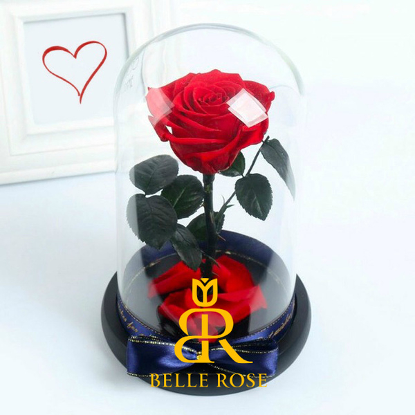 Живая Роза в стеклянной колбе - Бесплатная Доставка - Изображение #1, Объявление #1649066