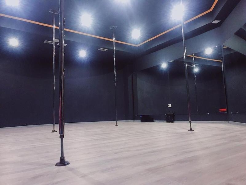 Студия фитнеса и танца на пилоне Carpe Diem - Изображение #3, Объявление #1650579