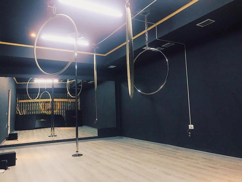 Студия фитнеса и танца на пилоне Carpe Diem - Изображение #4, Объявление #1650579