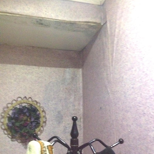 поклейка обоев. Гарантия и качество. Онлайн консультация - Изображение #3, Объявление #1656468