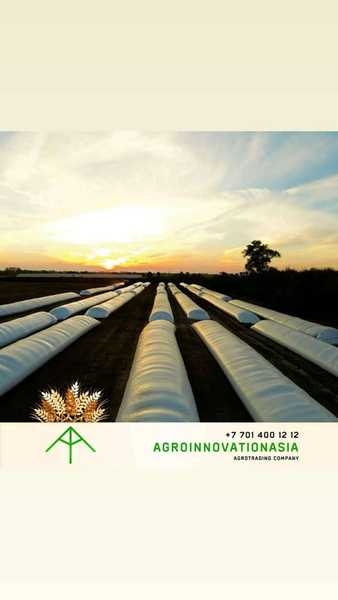 Агромешки (Аргентина). Прямые поставки - Изображение #4, Объявление #1657423