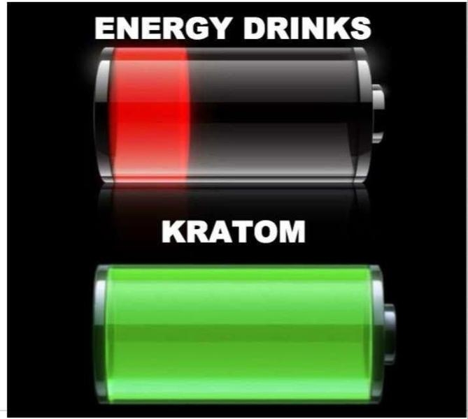 Лекарственный чай Кратом - Изображение #6, Объявление #1662787