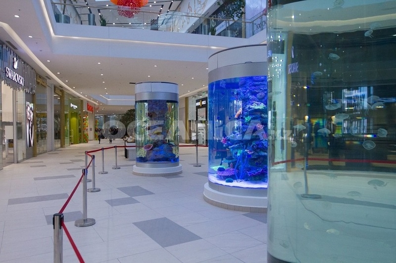 Аквариумы на заказ и готовые - Изображение #5, Объявление #1284557