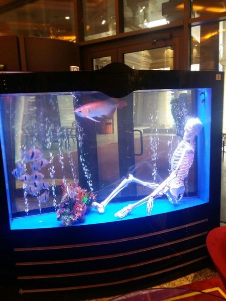 Аквариумы на заказ и готовые - Изображение #6, Объявление #1284557