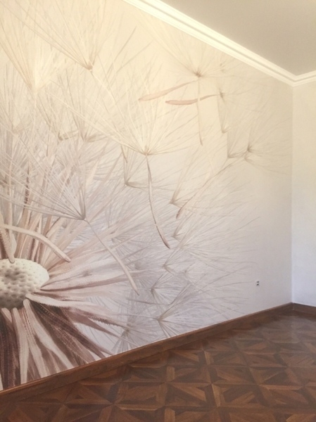 Ремонт и отделка квартир.Малярные работы. - Изображение #3, Объявление #1655875