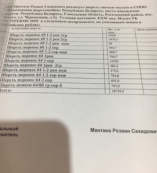 Шерсть овечья мытая Меренос - Изображение #4, Объявление #1672208
