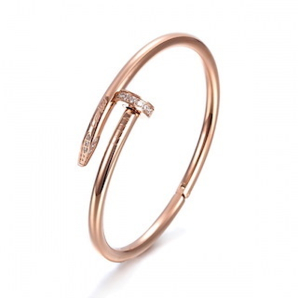 Cеребряный Комплект Cartier «Гвоздь»  - Изображение #6, Объявление #1672150