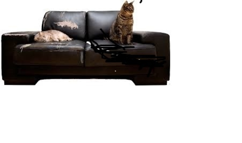 перетяжка - Изображение #3, Объявление #1633298