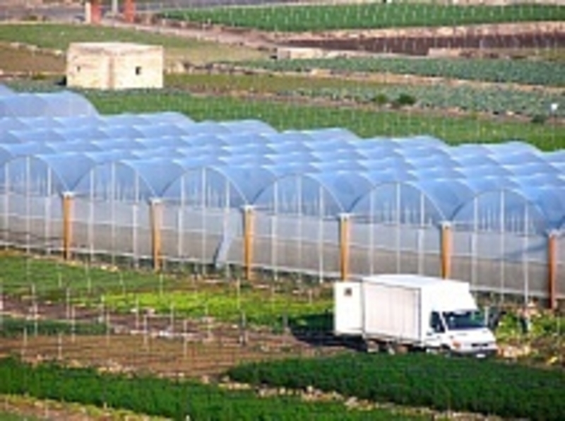 Пленка поливинилхлоридная парниковая - Изображение #1, Объявление #1677305