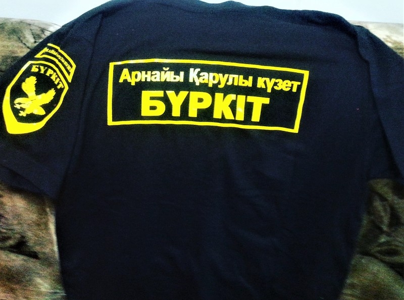 Печать на футболках, логотипы, надписи - Изображение #7, Объявление #1642914