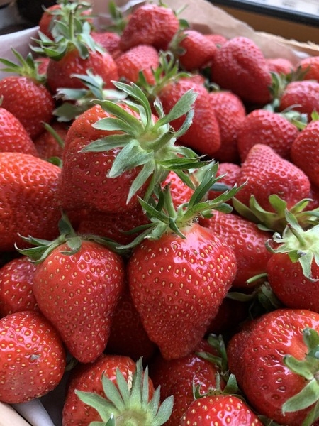  Алматинская клубника - Изображение #5, Объявление #1682008