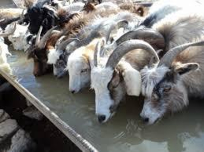 Автономные Солнечные Водяные Насосы - Изображение #4, Объявление #1634700