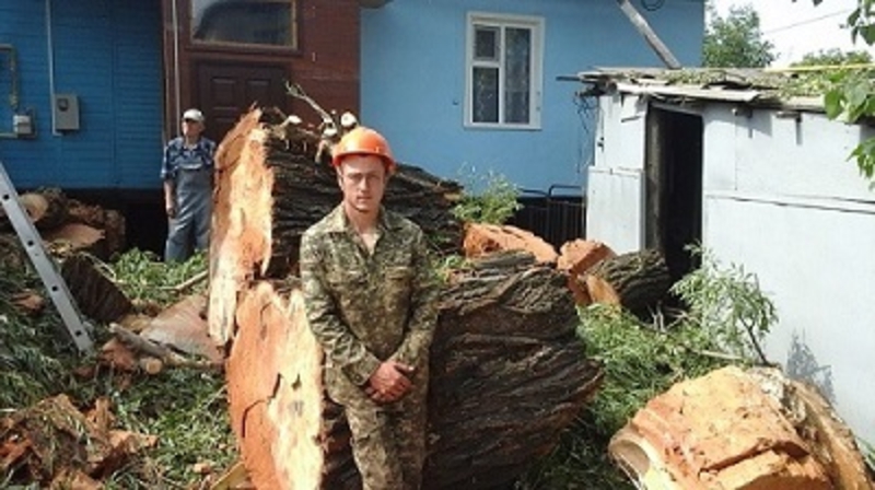 Спилим, обрежем деревья. Верхолаз (арборист) Евгений, спецтехника. - Изображение #10, Объявление #1337163