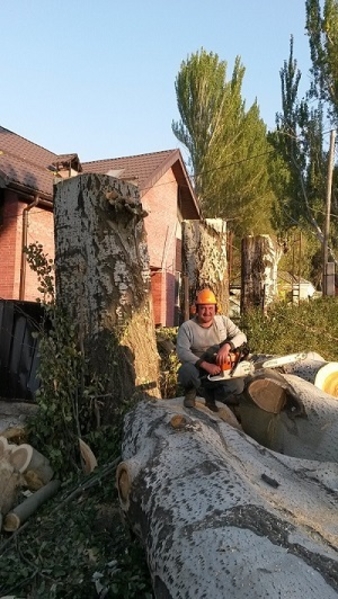 Спилим, обрежем деревья. Верхолаз (арборист) Евгений, спецтехника. - Изображение #8, Объявление #1337163