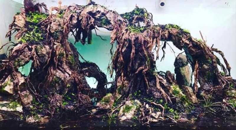 Природный аквариум  - Изображение #3, Объявление #1705455