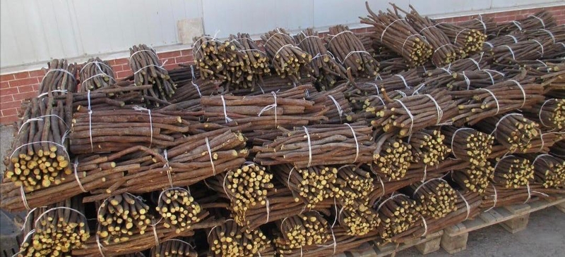 Корень солодки - завод в Азербайджане - Изображение #5, Объявление #1710532