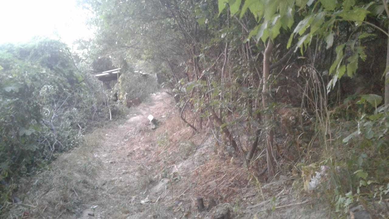 Земельный участок в Медеуском р-не в городе Алматы - Изображение #7, Объявление #1711617