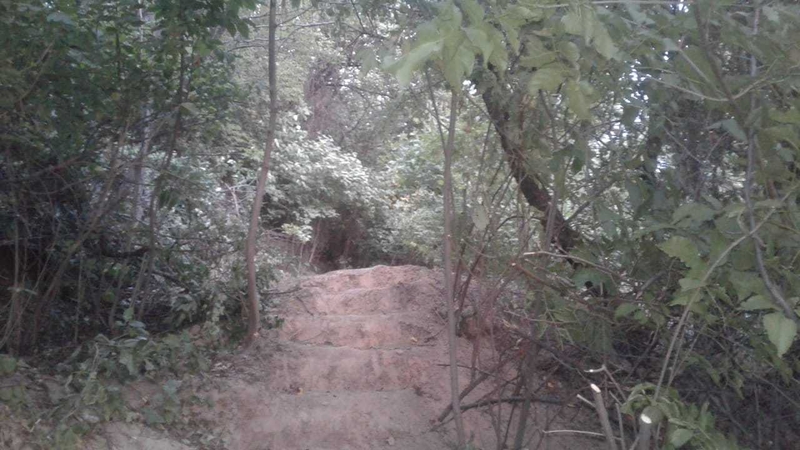 Земельный участок в Медеуском р-не в городе Алматы - Изображение #2, Объявление #1711617