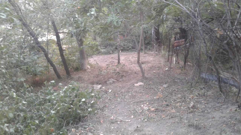 Земельный участок в Медеуском р-не в городе Алматы - Изображение #4, Объявление #1711617