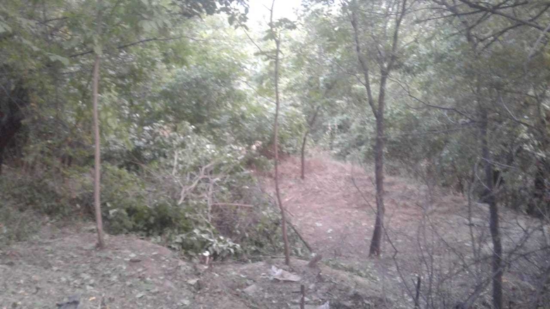 Земельный участок в Медеуском р-не в городе Алматы - Изображение #5, Объявление #1711617