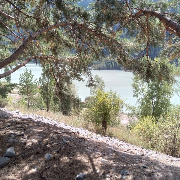 Дача в аренду.  Иссык. - Изображение #5, Объявление #1717092