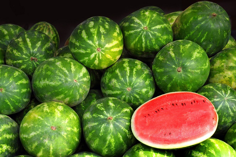 Арбузы  из Казахстана (6-8 кг) CPT  Улан-Батор (Монголия) - Изображение #1, Объявление #1724252