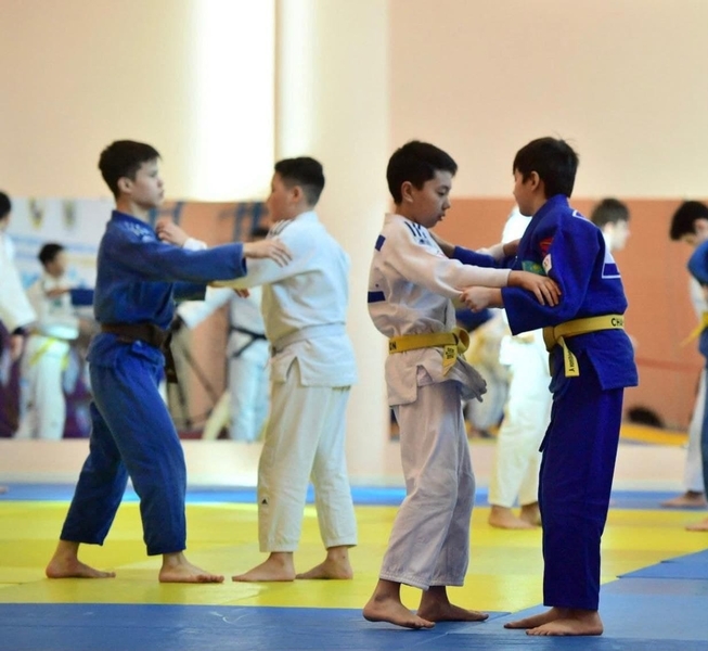 Конно-спортивный комплекс «Тулпар» - Изображение #5, Объявление #1724013