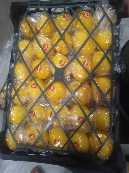 лимон из Ирана                                                               - Изображение #4, Объявление #1724266