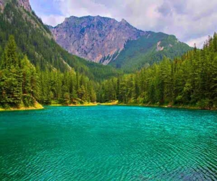 Ваши Апартаменты в Батуми с доходностью 15% и экскурсионный тур по Грузии - Изображение #4, Объявление #1725069