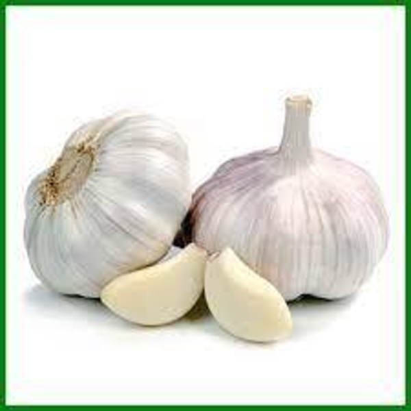 Чеснок ( свежий ), размер средний  - Изображение #4, Объявление #1724331