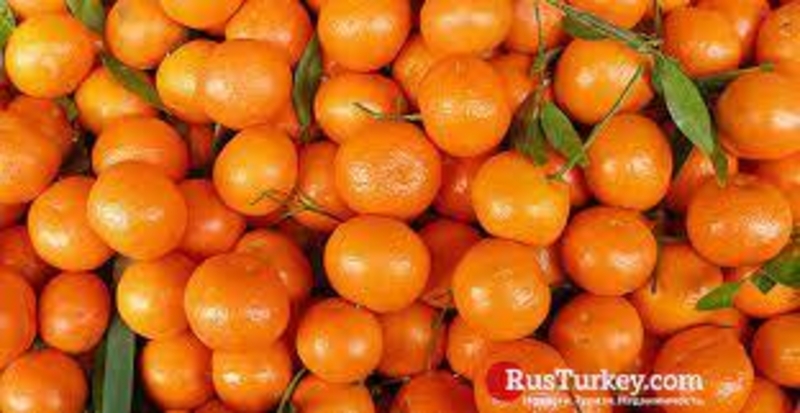 МАНДАРИНЫ                                                        - Изображение #1, Объявление #1724328