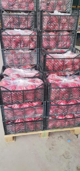 Иран Яблоко  - Изображение #2, Объявление #1724412