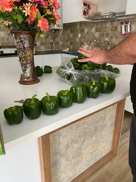 Перец сладкий, цвет темно-зеленый, форма светофора - Изображение #4, Объявление #1724329