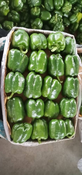 Сладки ПЕРЕЦ - Изображение #1, Объявление #1724415